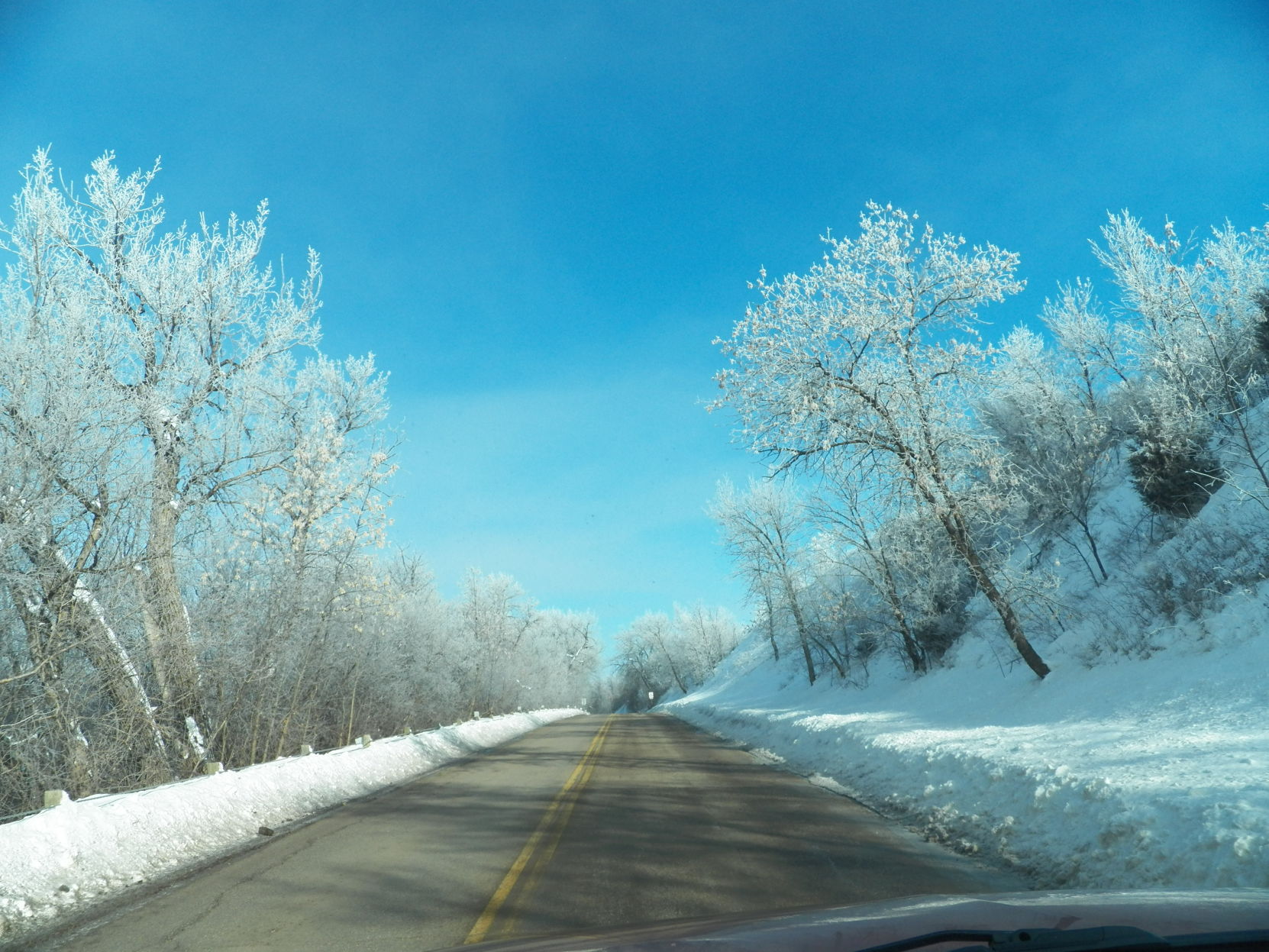 March 2019 morning frost.
